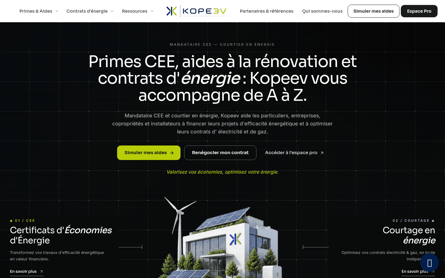 Aperçu du projet Kopeev